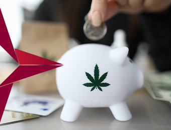 Can You Invest in Cannabis With an IRA? - thumbnail